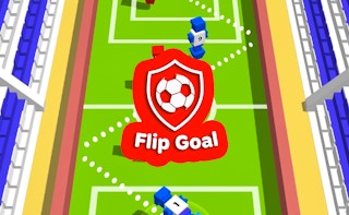 Image Flip Goal